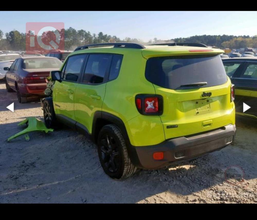 جيب رينيجيد